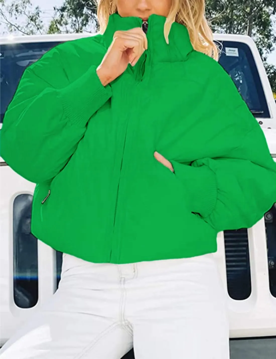 InterNos Women's Winter Stand Collar Zip Puffer Jacket Baggy Short Padded Down Coats